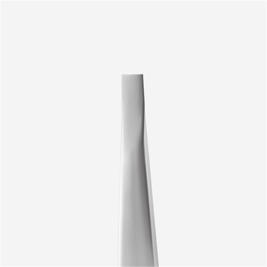 STALEKS EXPERT 10 TYPE 1 Kaş Cımbızı (Geniş Düz Kenarlar)