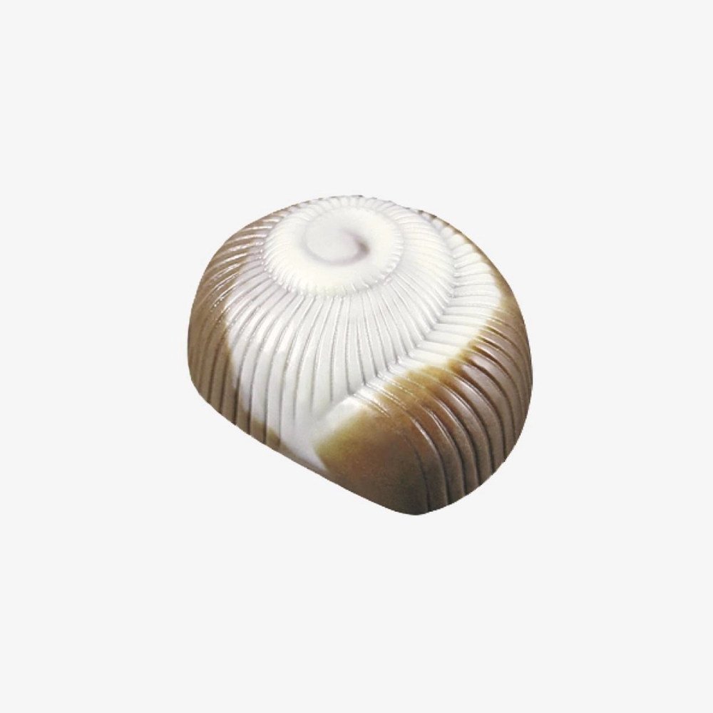 Sütlü Deniz Ürünü  2 kg