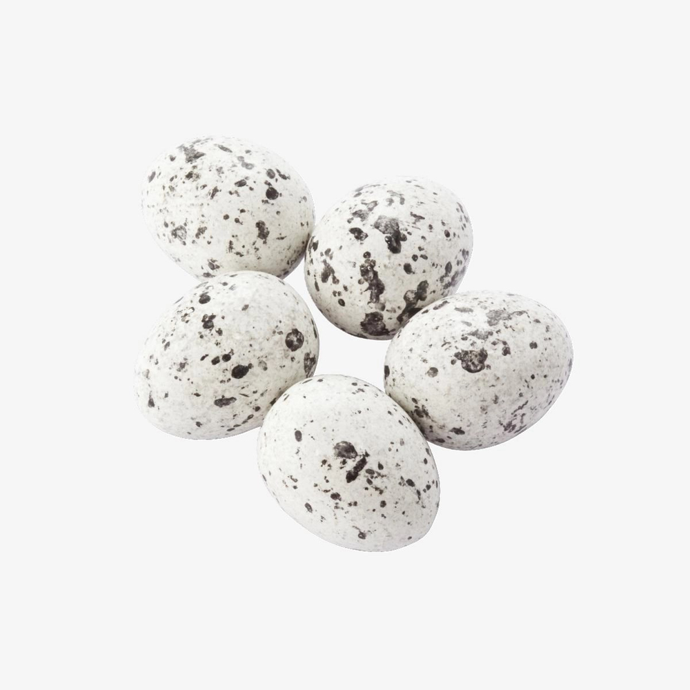 Sütlü Renkli Bıldırcın Draje  2,5 kg