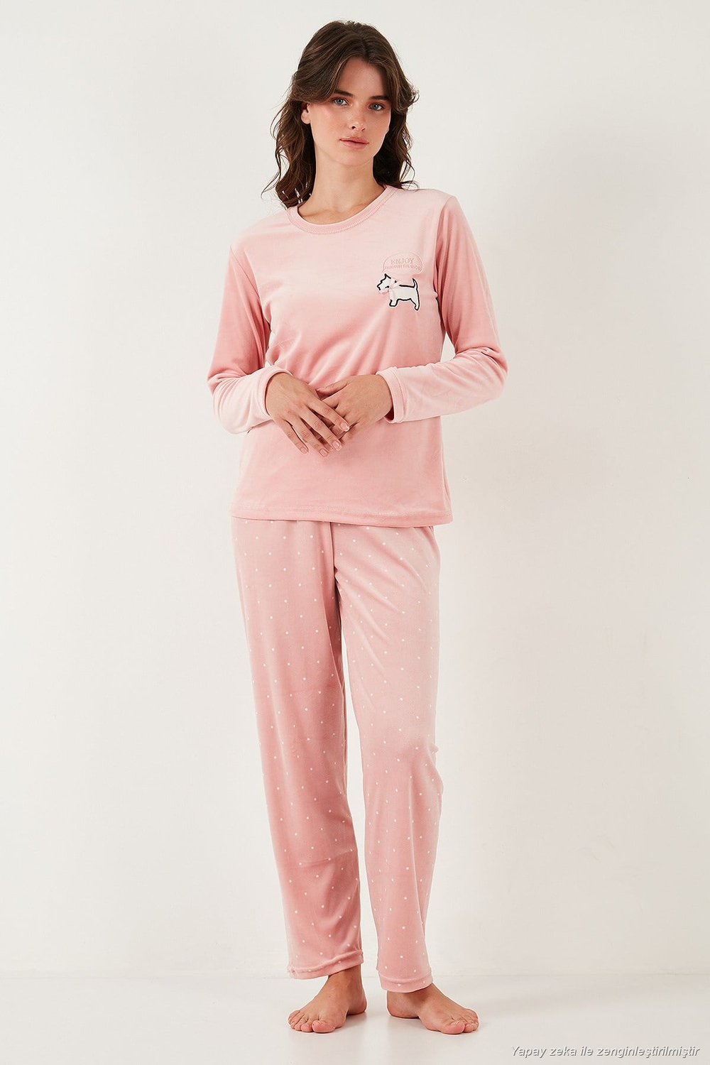 Desenli Regular Fit Bisiklet Yaka Uzun Kollu Kadın Pijama Takımı 65713312 PUDRA