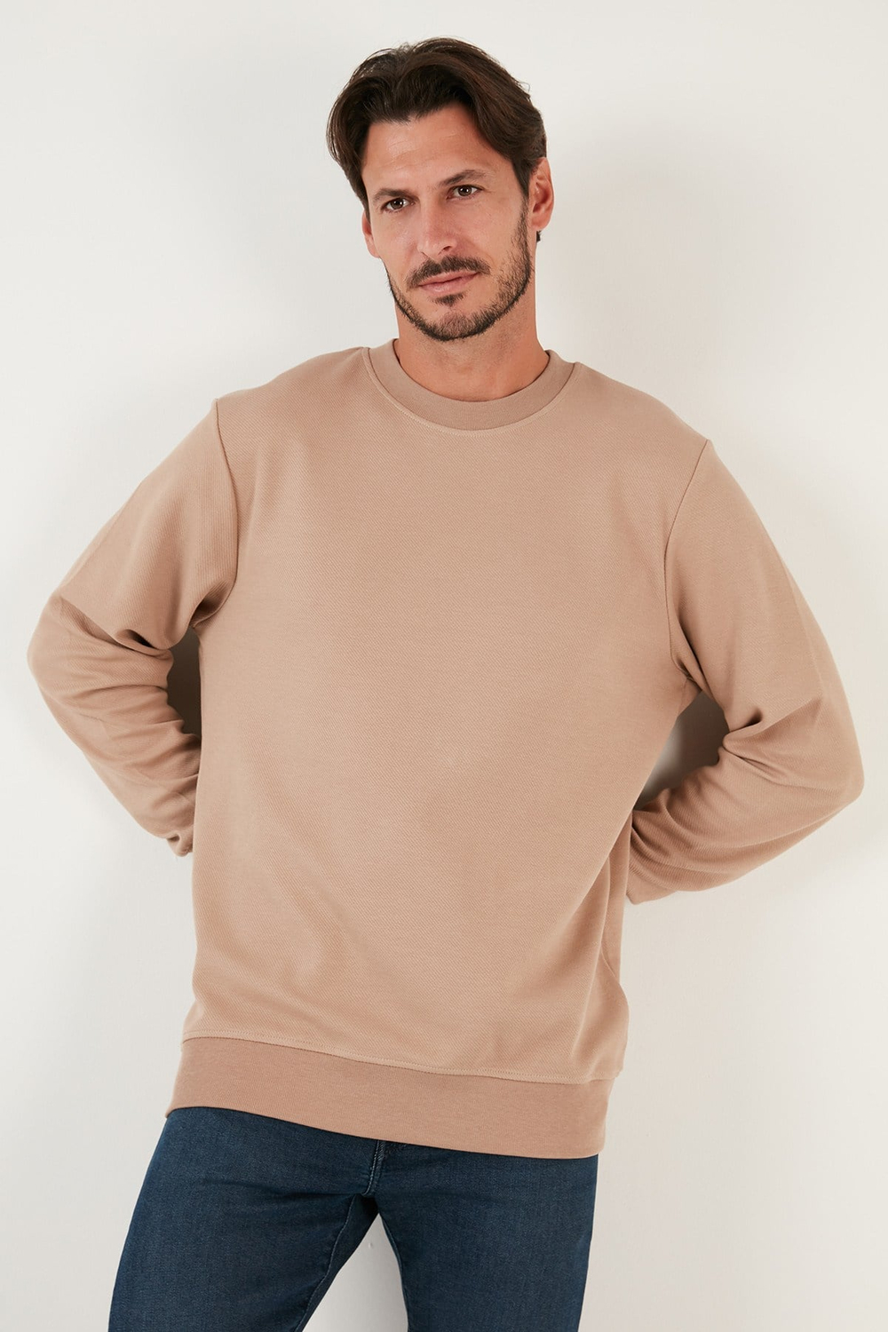 Pamuklu Bisiklet Yaka Regular Fit Basic Erkek Sweat 5905521 VİZON