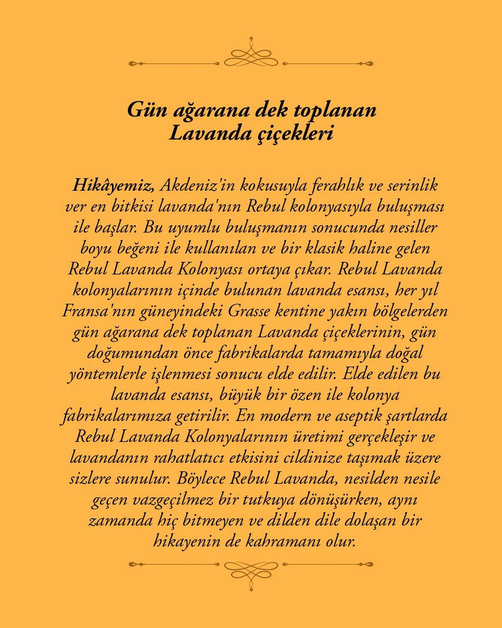 Rebul Lavanda EDC Kolonya 125 ml Pet Şişe