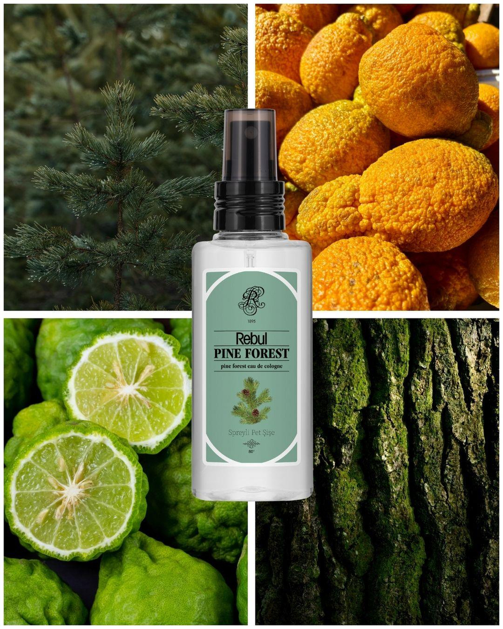 Rebul Pine Forest EDC Kolonya 125 ml Pet Şişe