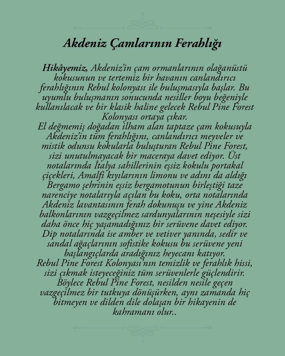 Rebul Pine Forest EDC Kolonya 250 ml Cam Şişe