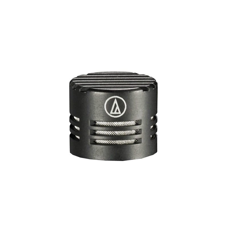 Audio Technica UE-H Hypercardioid element only 100 degree pickup pattern