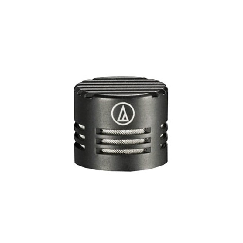Audio Technica UE-H Hypercardioid element only 100 degree pickup pattern