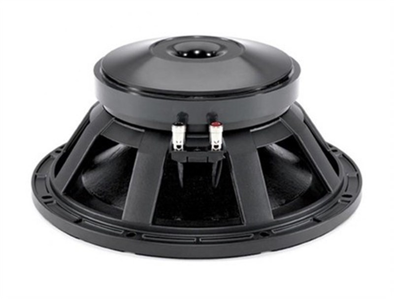 B&C 15 PS 100 - 15 inç 700/1400W 8 ohm Çıplak Subbass Hoparlör