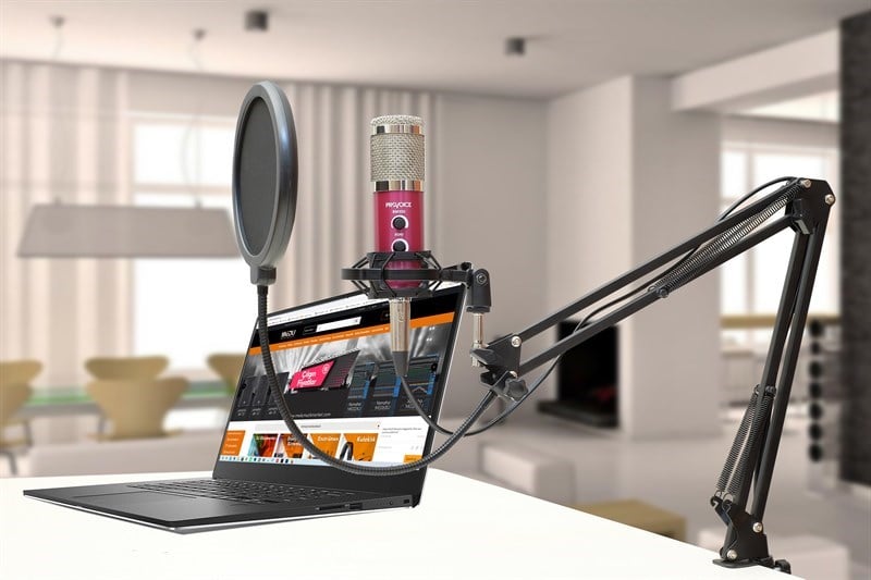 Provoice BM-300 Stüdyo Mikrofon+ AS-21 Stand+ Pop Filtre Full Set (Pembe)