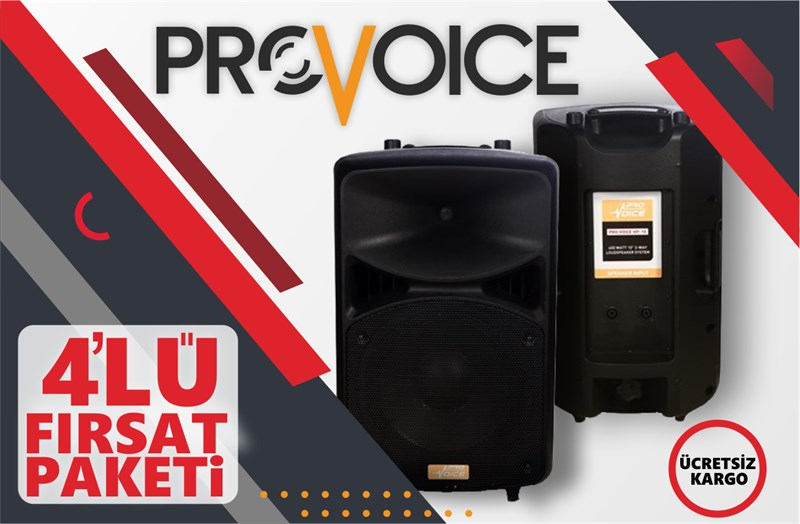Provoice HP-12TS Profesyonel Pasif Kabin Hoparlör  2 Yollu 600W 12 inç 4'lü Paket (Toptan Satış)