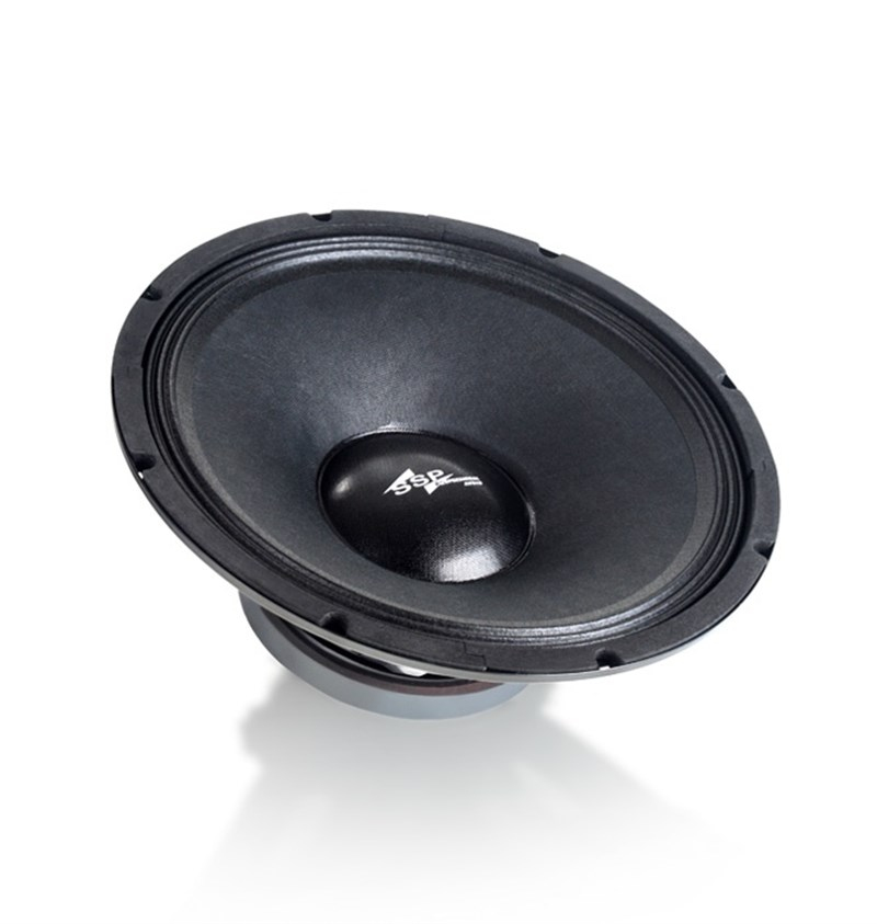 SSP Audio PA-0612 12 inç 300W Çıplak Hoparlör