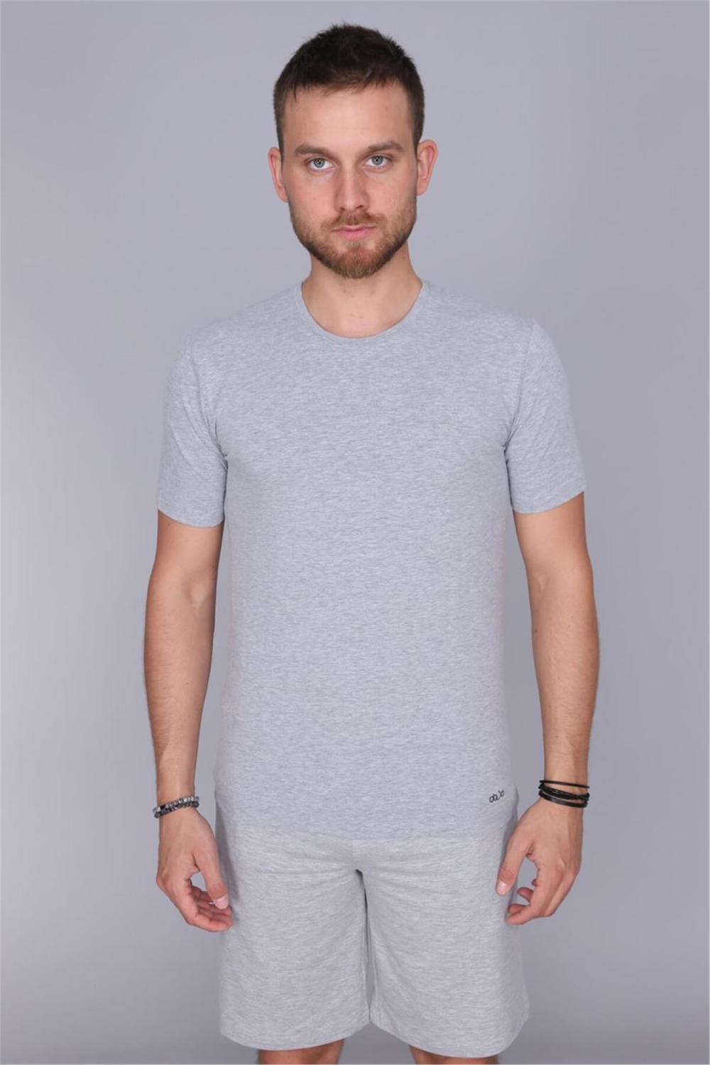 Erkek Gri Paragon Sıfır Yaka Yarım Kol Tshirt