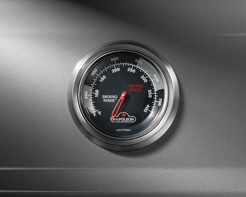 Accu-Probe termometre