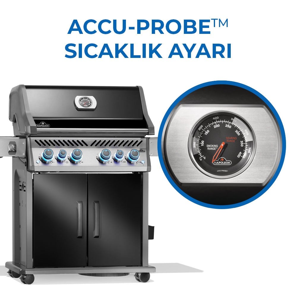 Rogue Pro S 525 RSIB Gazlı Mangal Siyah