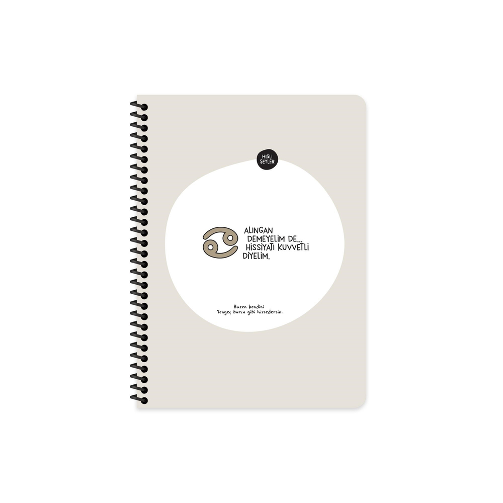 Hisli Şeyler 16,5x22,5 Spiralli Karton Kapak Stickerli Çizgili Burçlar Serisi Defter - Alıngan Demeyelim De Hisleri Kuvvetli