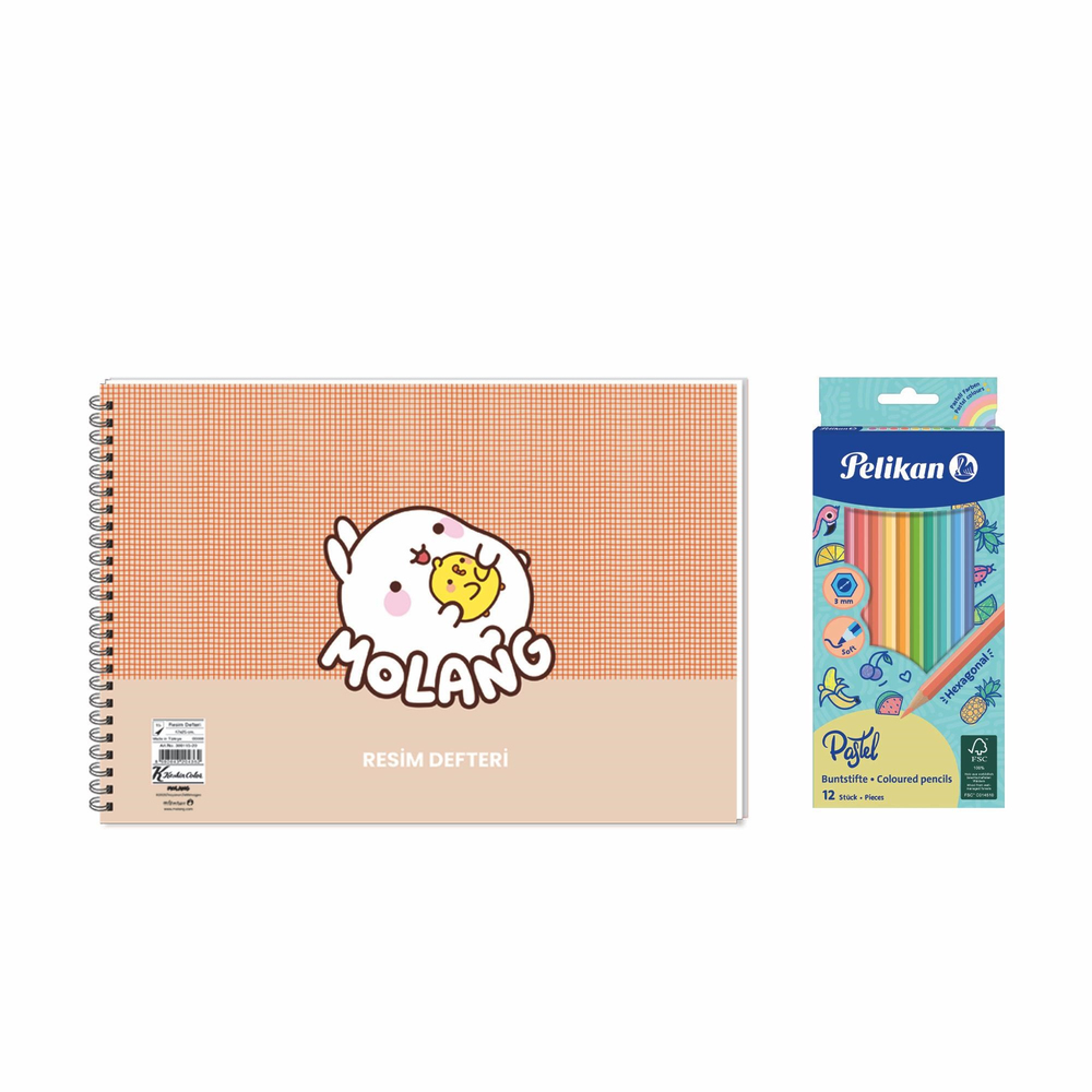 Molang 17x25 Spiralli Resim Defteri - Pelikan Pastel Renkler 12'li Kuru Boya 2'li Set 3