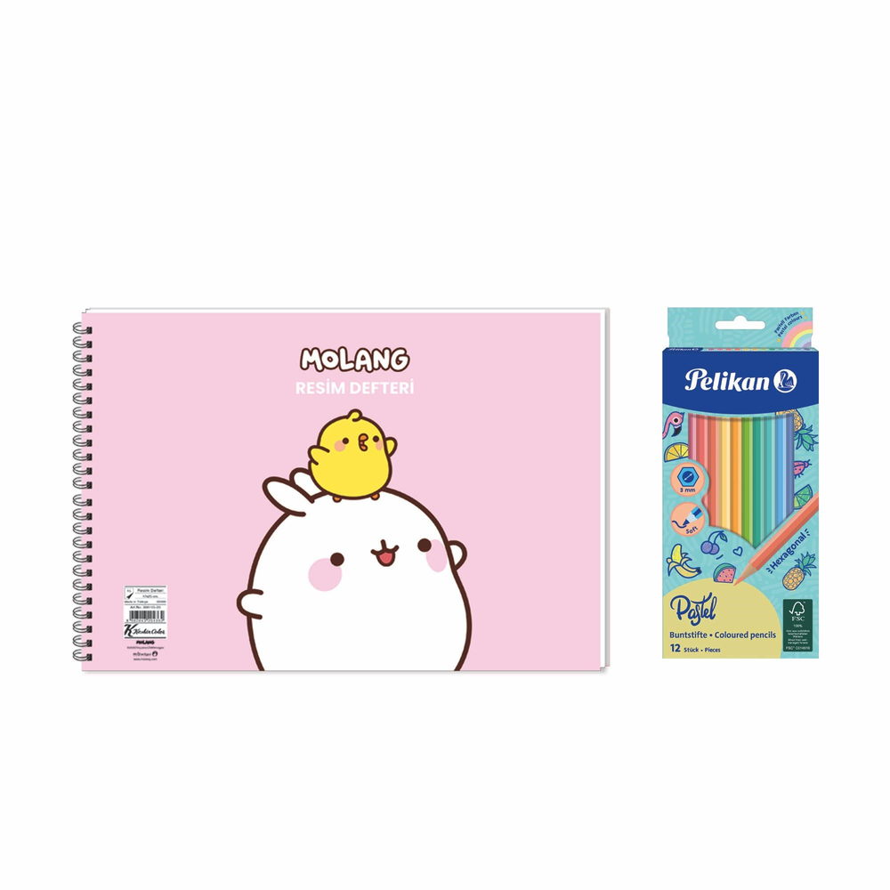 Molang 17x25 Spiralli Resim Defteri - Pelikan Pastel Renkler 12'li Kuru Boya 2'li Set