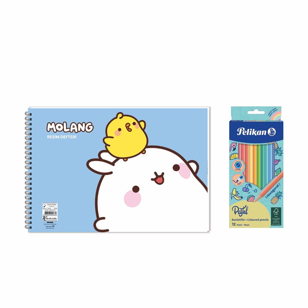 Molang 17x25 Spiralli Resim Defteri - Pelikan Pastel Renkler 12'li Kuru Boya 2'li Set 4