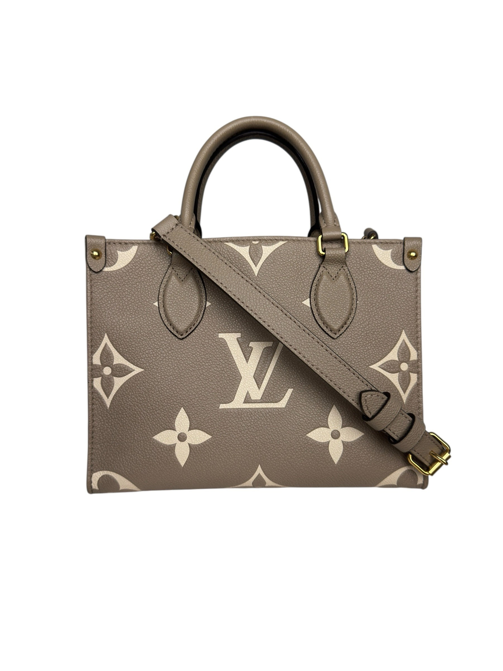 LOUIS VUITTON EMPREINTE ON THE GO PM BAG
