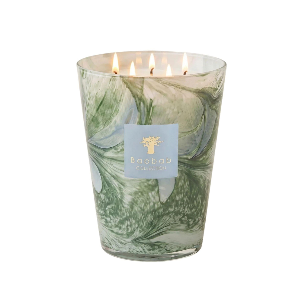 Baobab Collection - Leaves Marius Max24 Mum