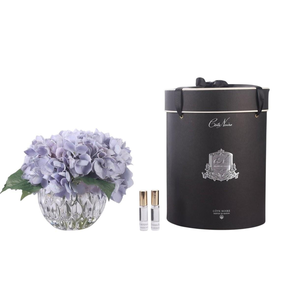 Cote Noire - Luxury Range Hydrangea'S Mavi Koku