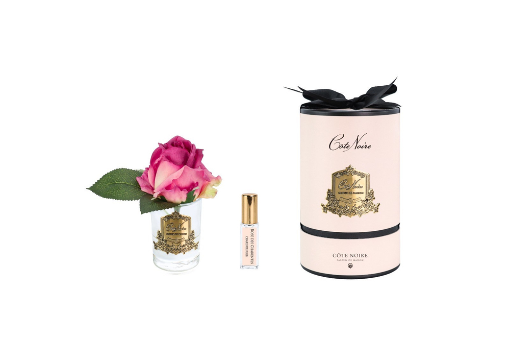 Cote Noire -  Tek Güllü Fuşya & Gold Kokulu Çiçek