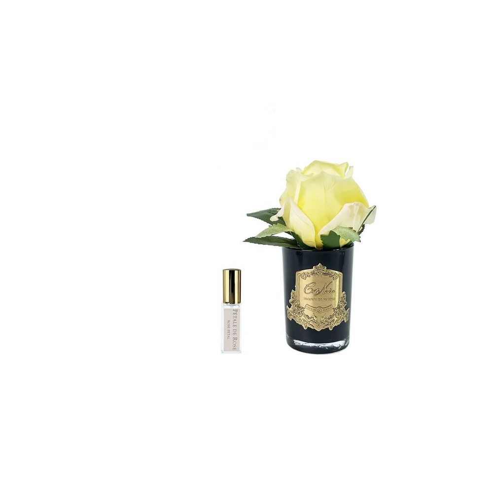 Cote Noire - Tek Güllü Gold  Sarı Çiçek