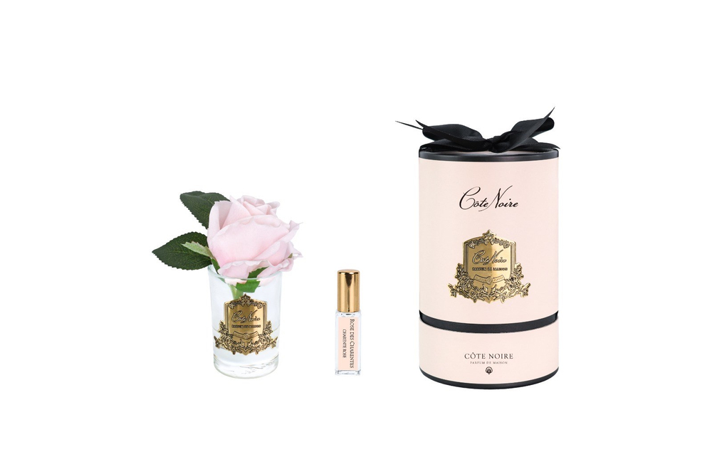 Cote Noire -  Tek Güllü Pembe & Gold Kokulu Çiçek
