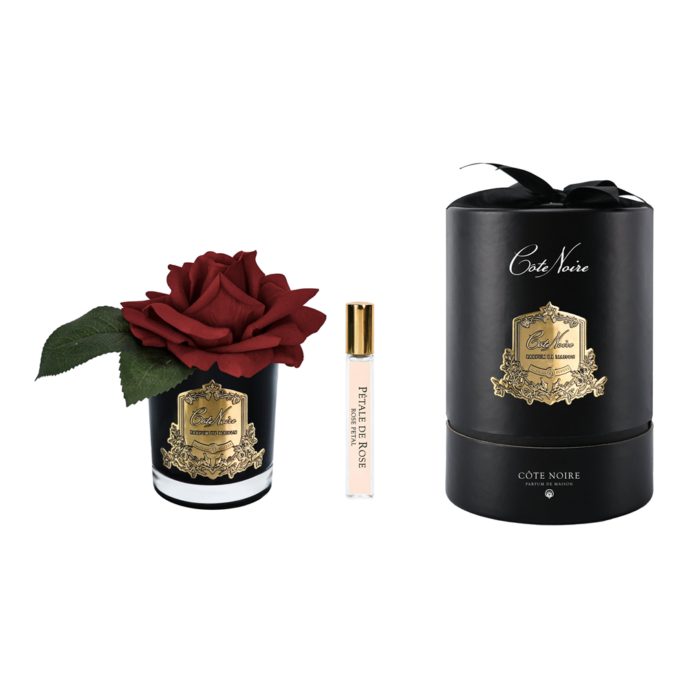 Cote Noire - Tek Güllü Siyah Bordo & Gold Kokulu Çiçek M