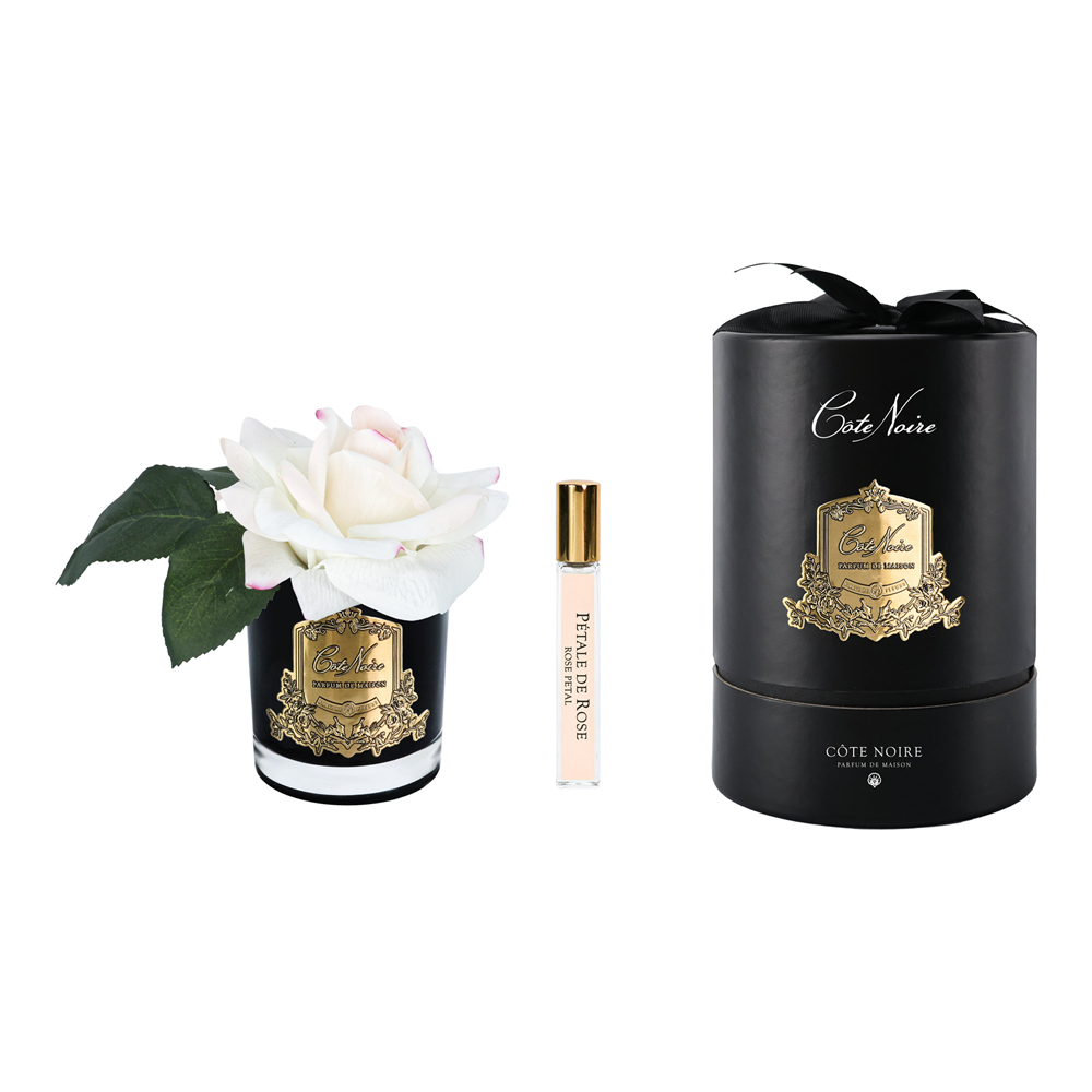 Cote Noire - Tek Güllü Siyah Ebruli & Gold Kokulu Çiçek M