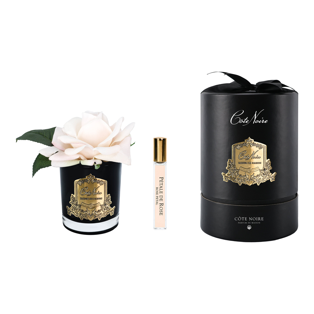 Cote Noire - Tek Güllü Siyah Pembe & Gold Kokulu Çiçek M