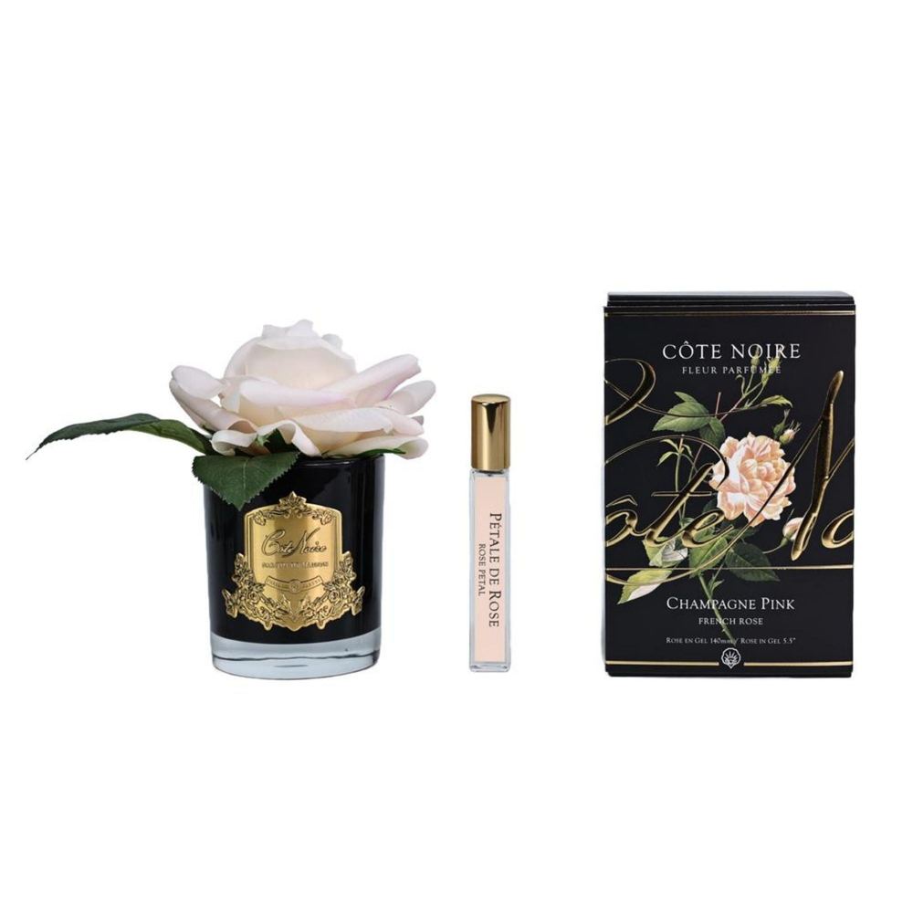Cote Noire - Tek Güllü  Toz Pembe Siyah & Gold Çiçek 