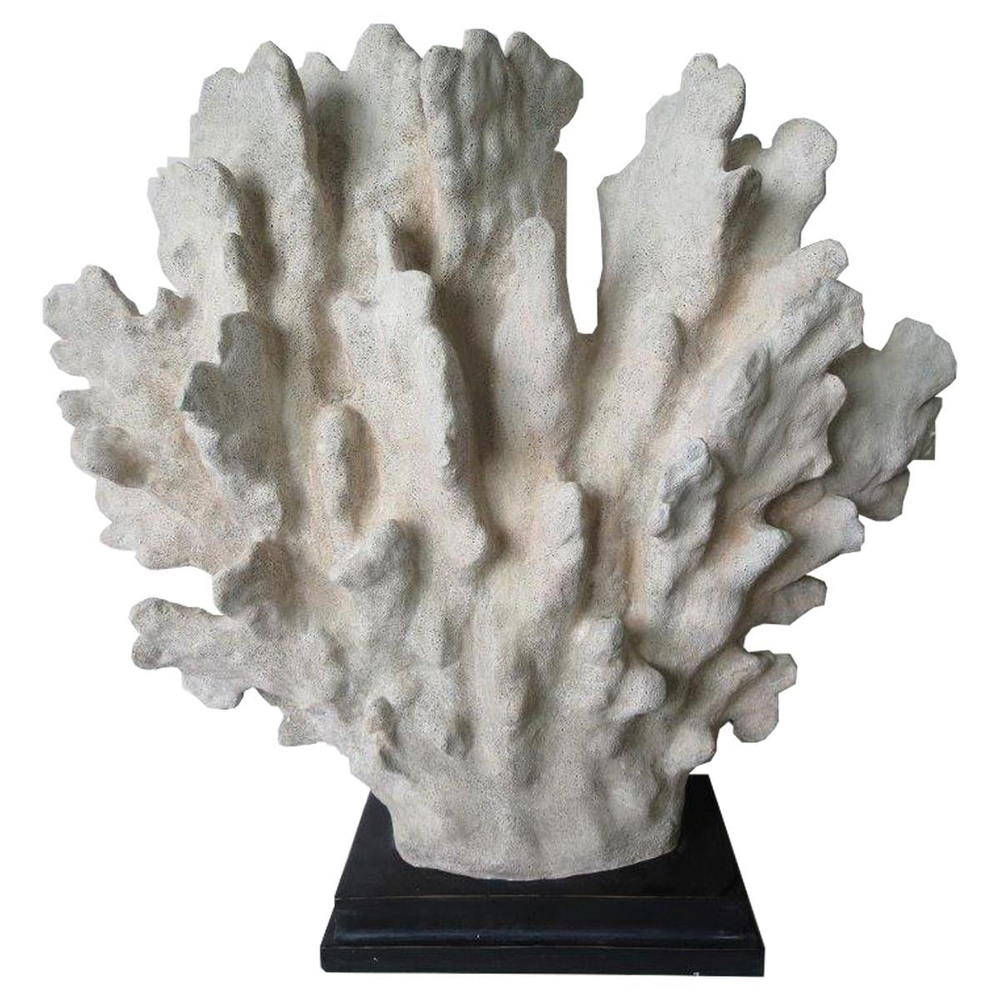 Fancy Beyaz Mercan 66 cm