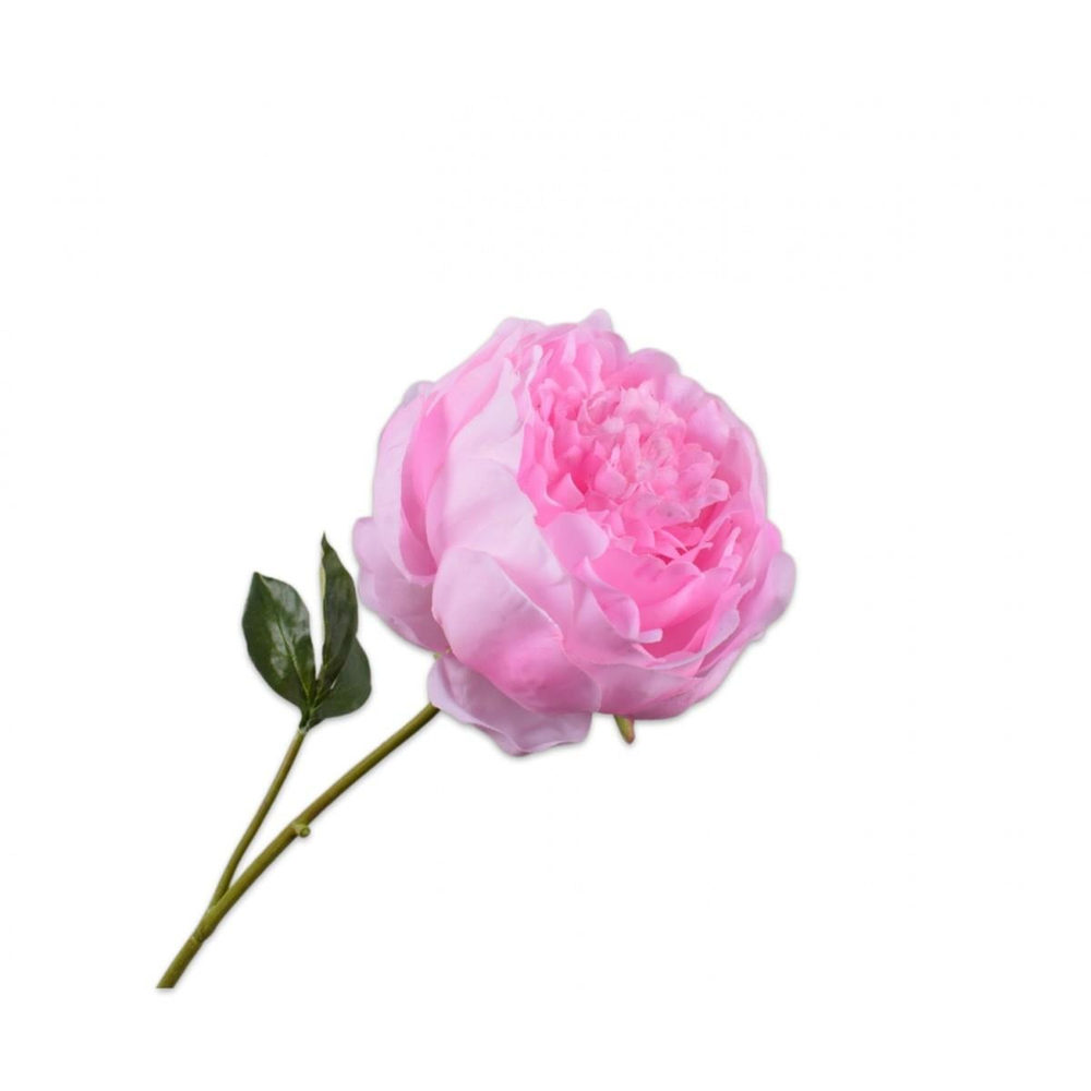 Silkka - 52 Cm Pembe Şakayık