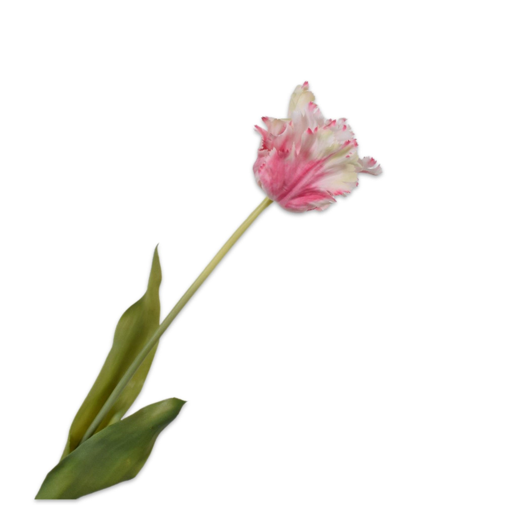 Silkka - Lale Pembe & Beyaz 71 Cm