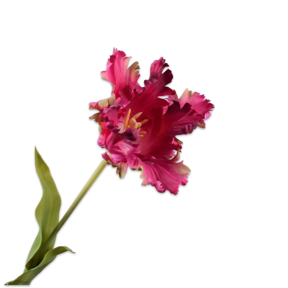 Silkka - Lale Pembe & Bordo 71 Cm