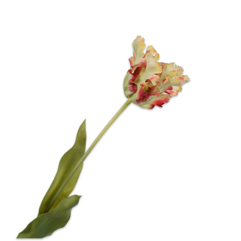 Silkka - Lale Yeşil & Kırmızı 71 Cm