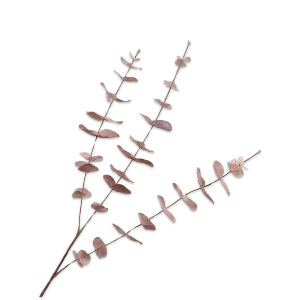 Silkka - Okaliptüs Kahverengi 99 Cm