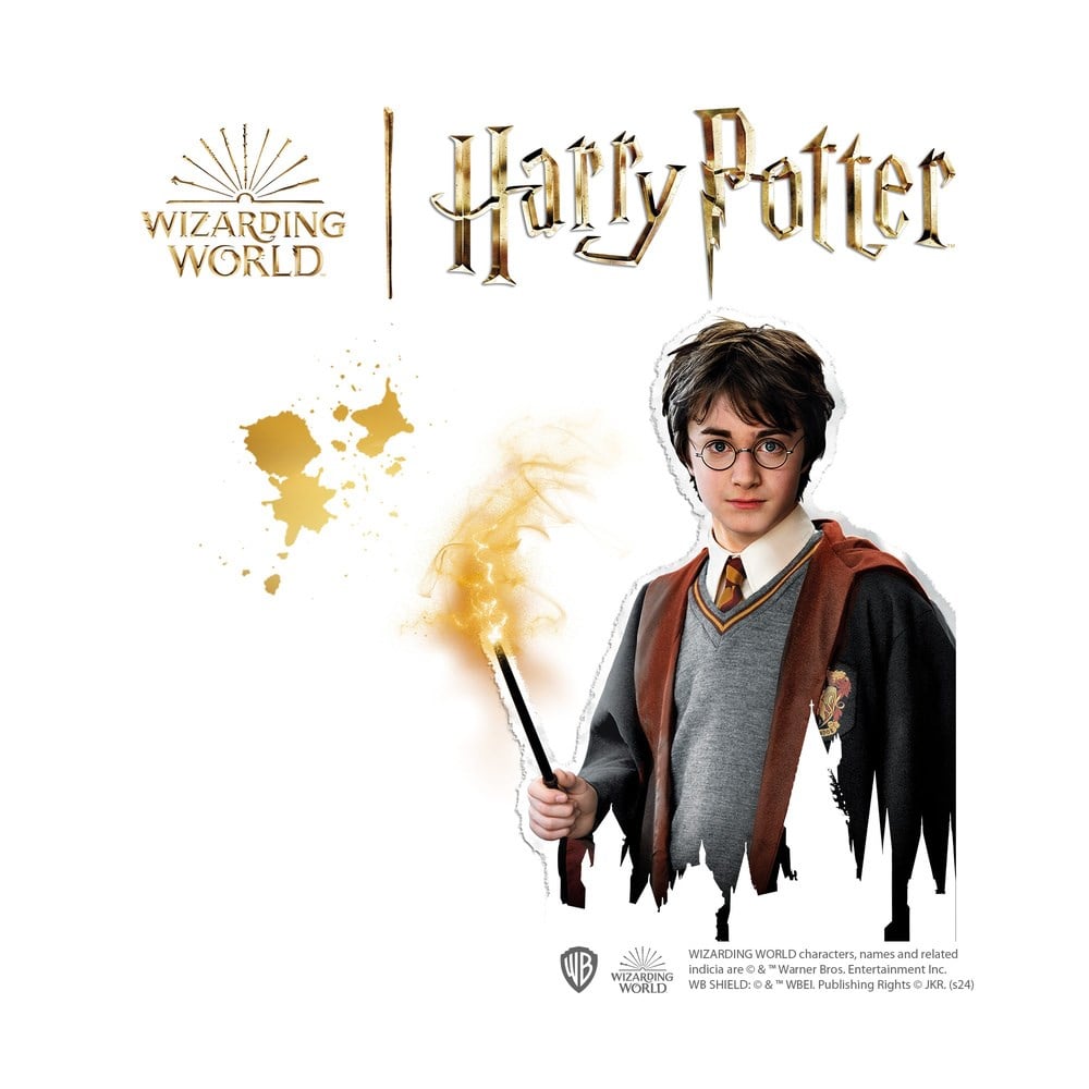 Ses Creative Kalıba Dök ve Boya Harry Potter