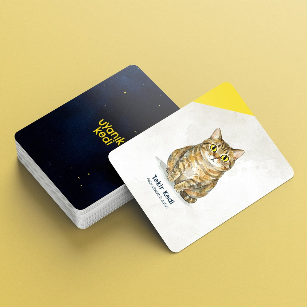 İyiKafa Uyanık Kedi Kart Oyunu