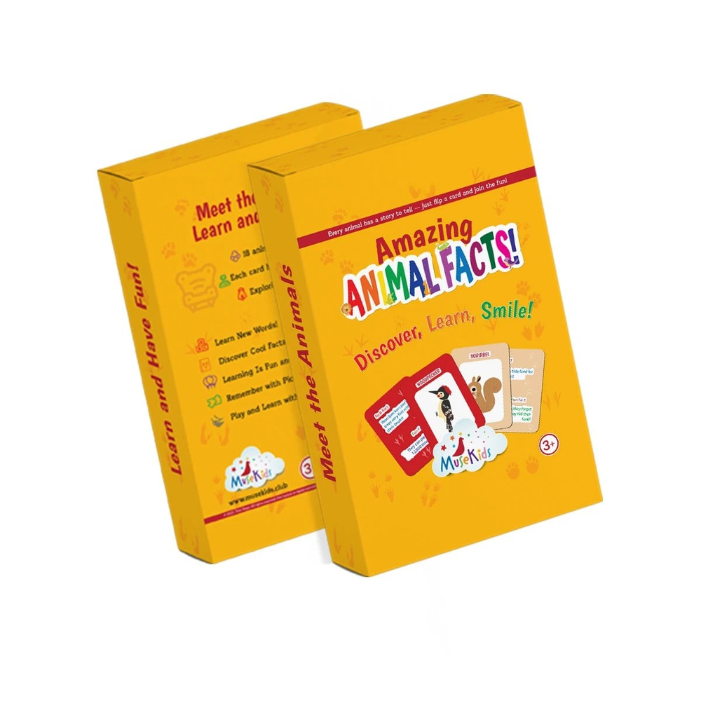Animal Facts Kartı 18'li