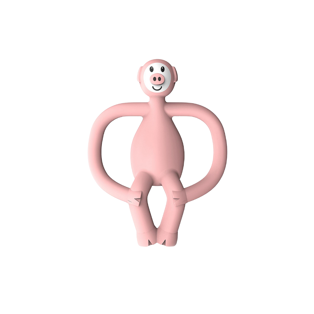 Matchstick Monkey Silikon Diş Kaşıyıcı Pickle Pig