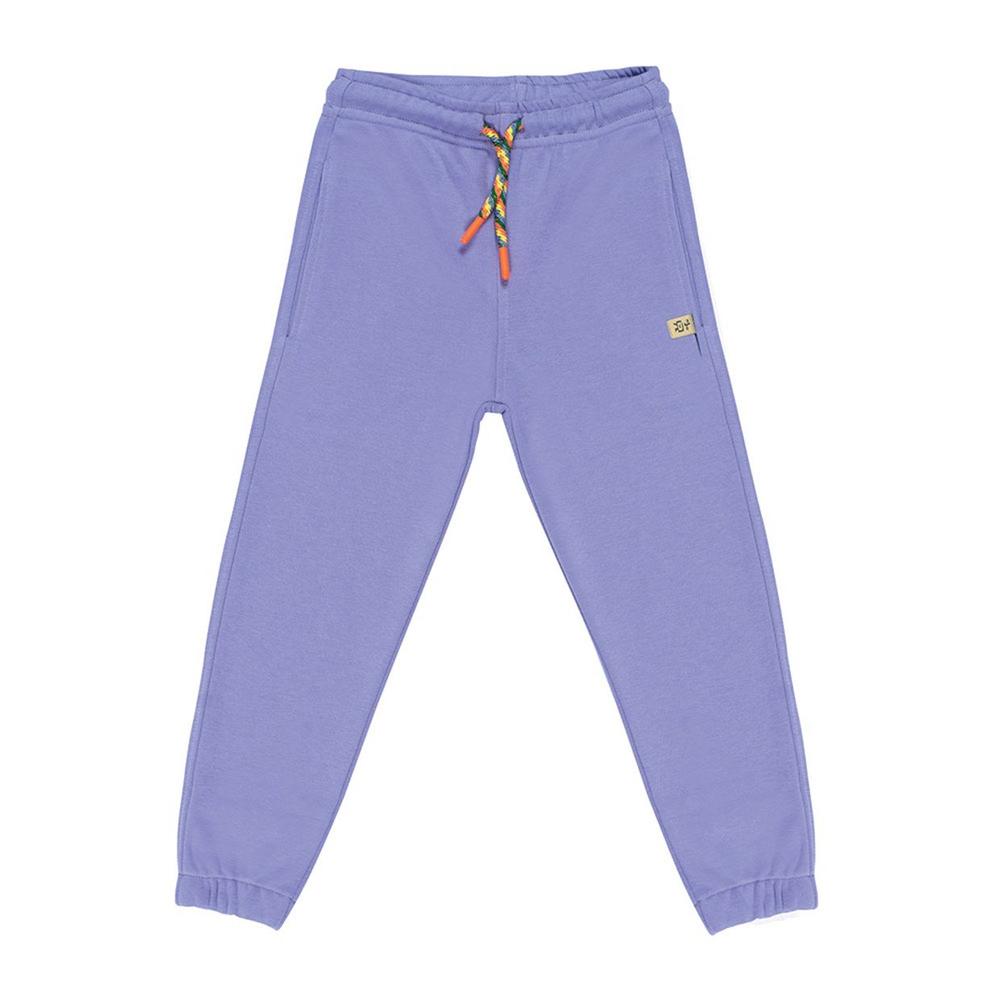 Beetle Beez Lilac Purple Jogger Striped Cord