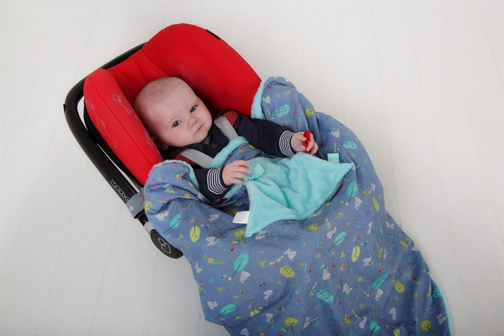 Cheeky Chompers Puset ve Bebek Battaniyesi Tiny Tatty Teddy