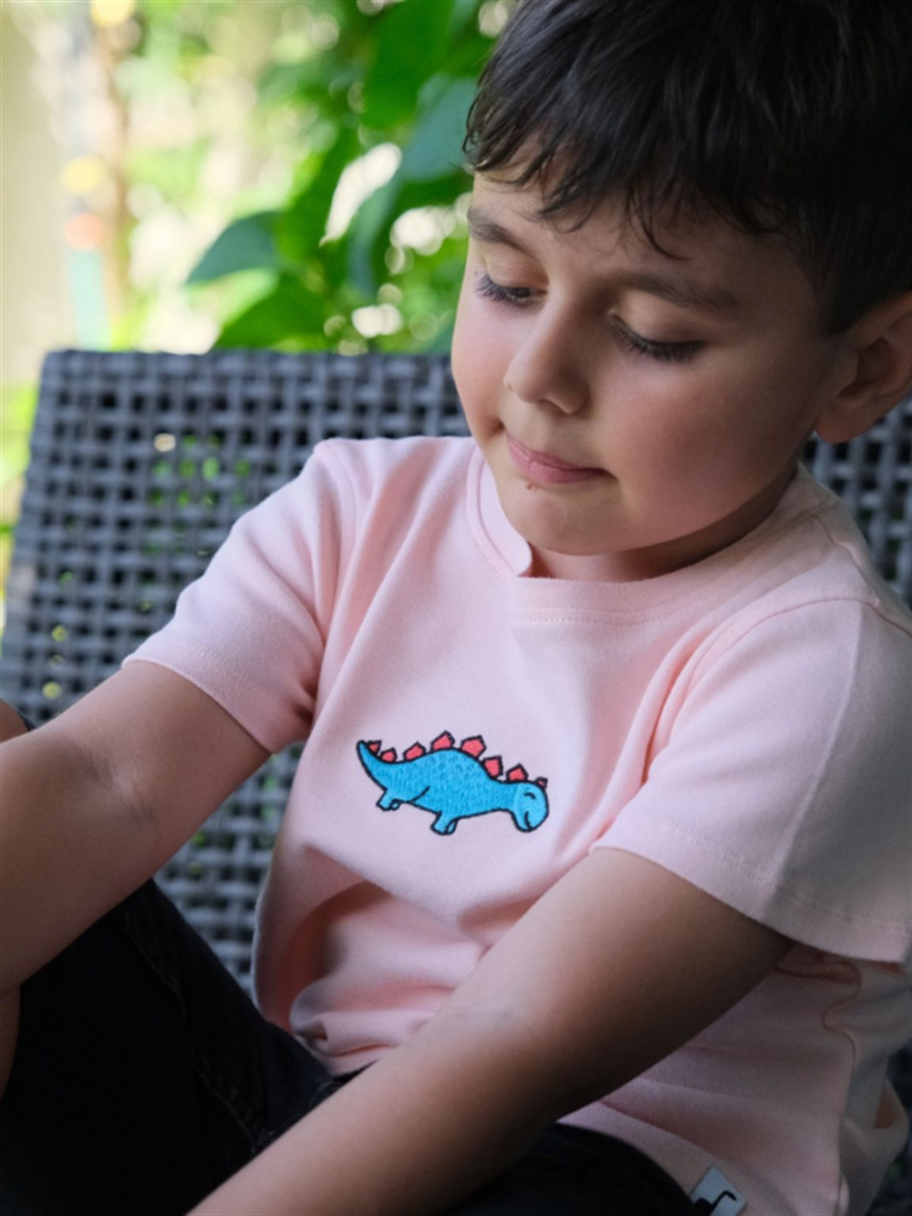 Dinofor Stegosaurus Tişört