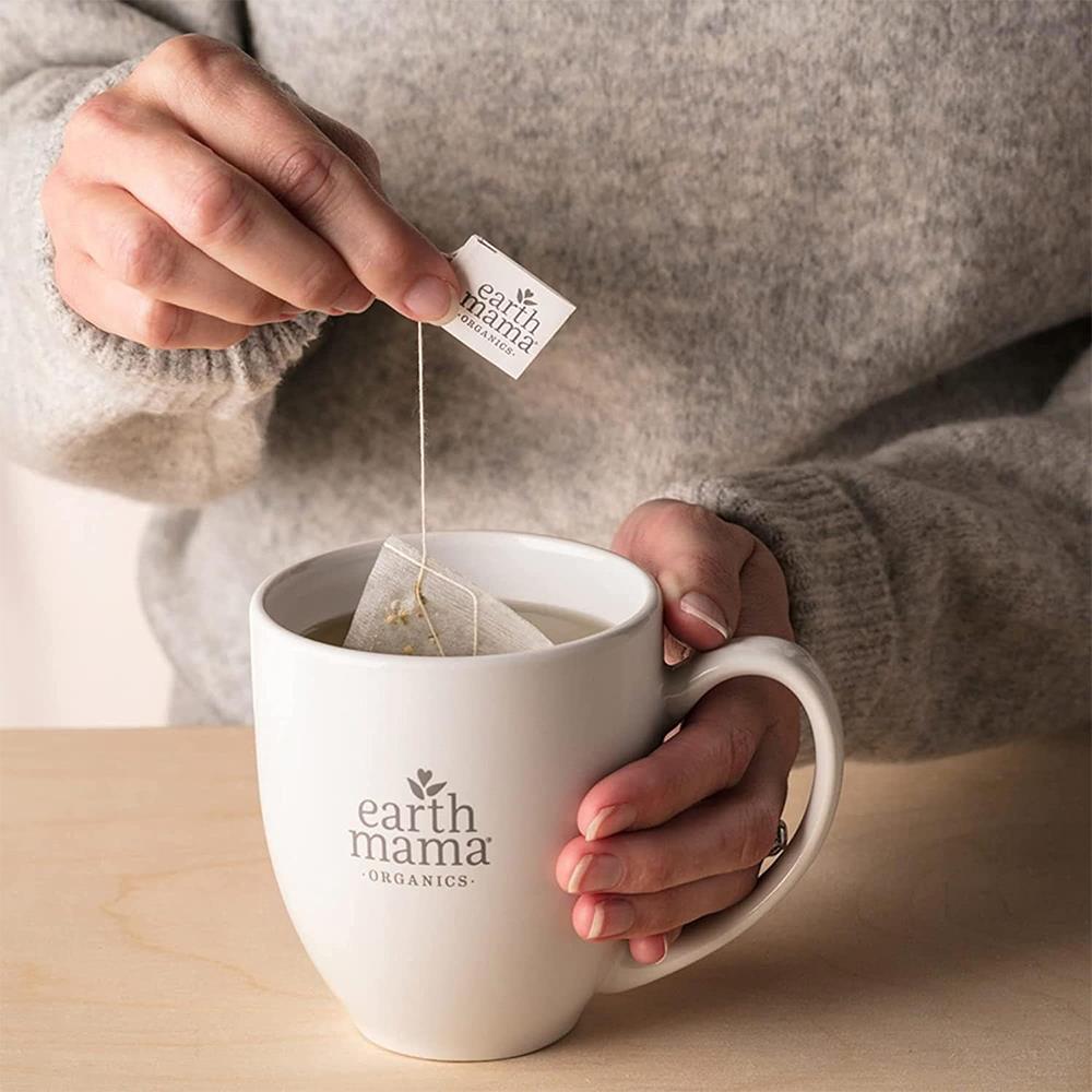 Earth Mama Süt Arttırıcı Çay