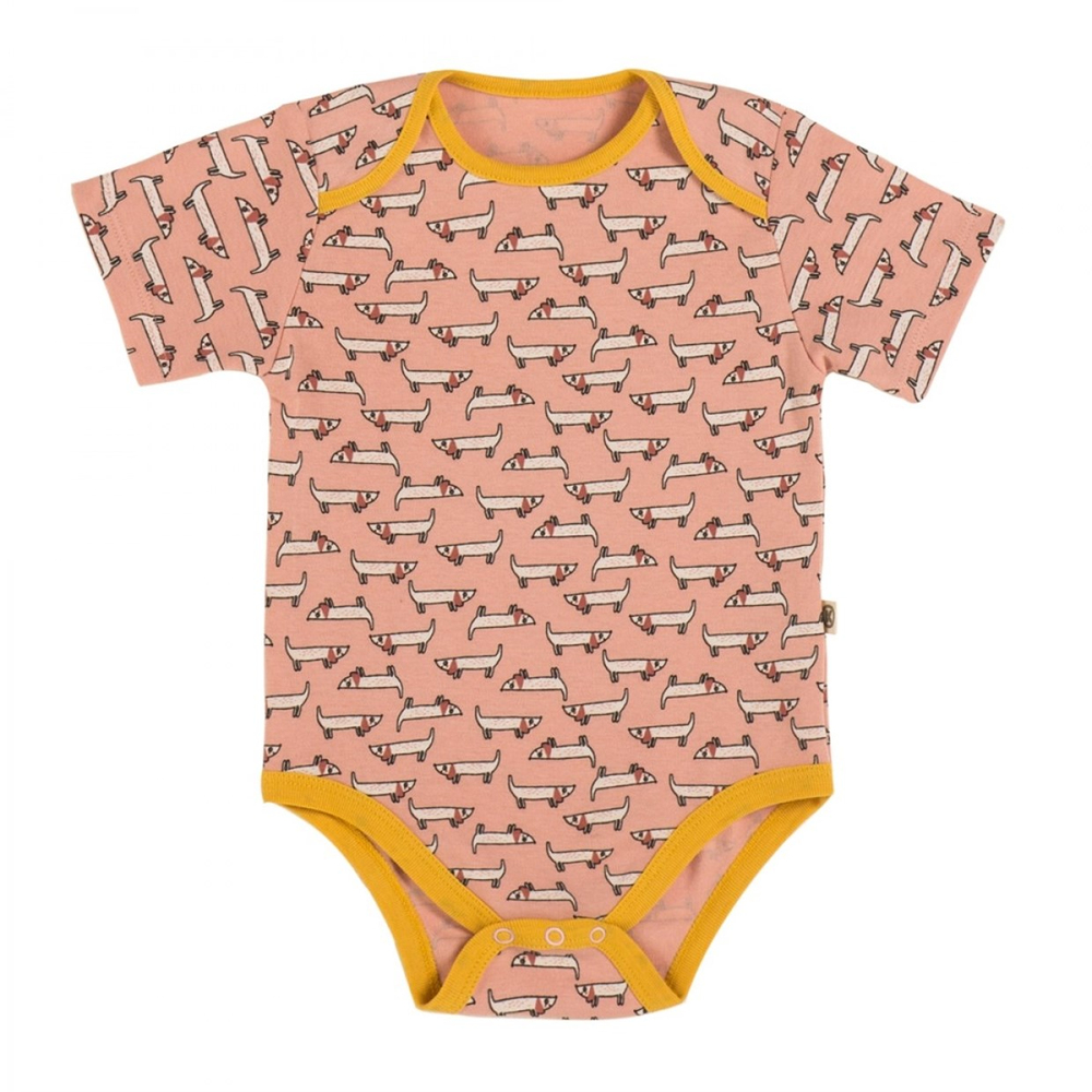 KATIA & BONY 3'LÜ BEBEK BODY SETİ - COLORFUL