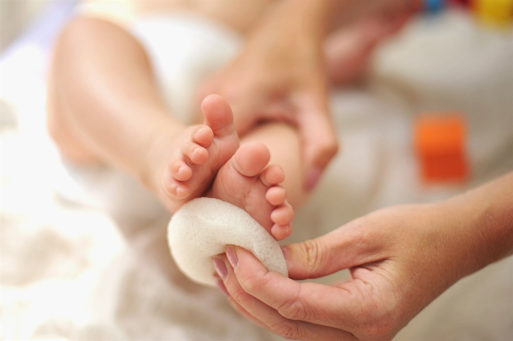 KOKOSO BABY DOĞAL KONJAK SÜNGER