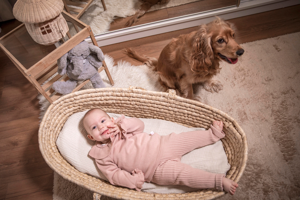 Lou Lou Baby Layla Triko Takım Rose