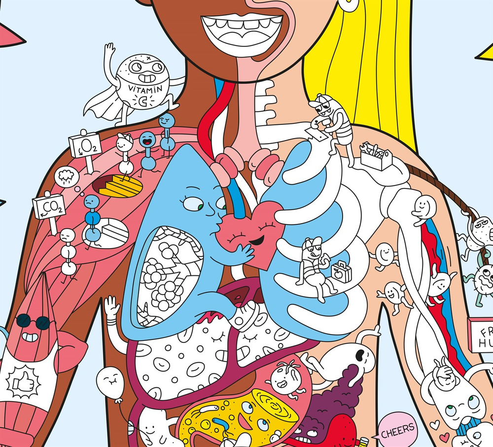 Omy Coloring Sticker & Poster My Body