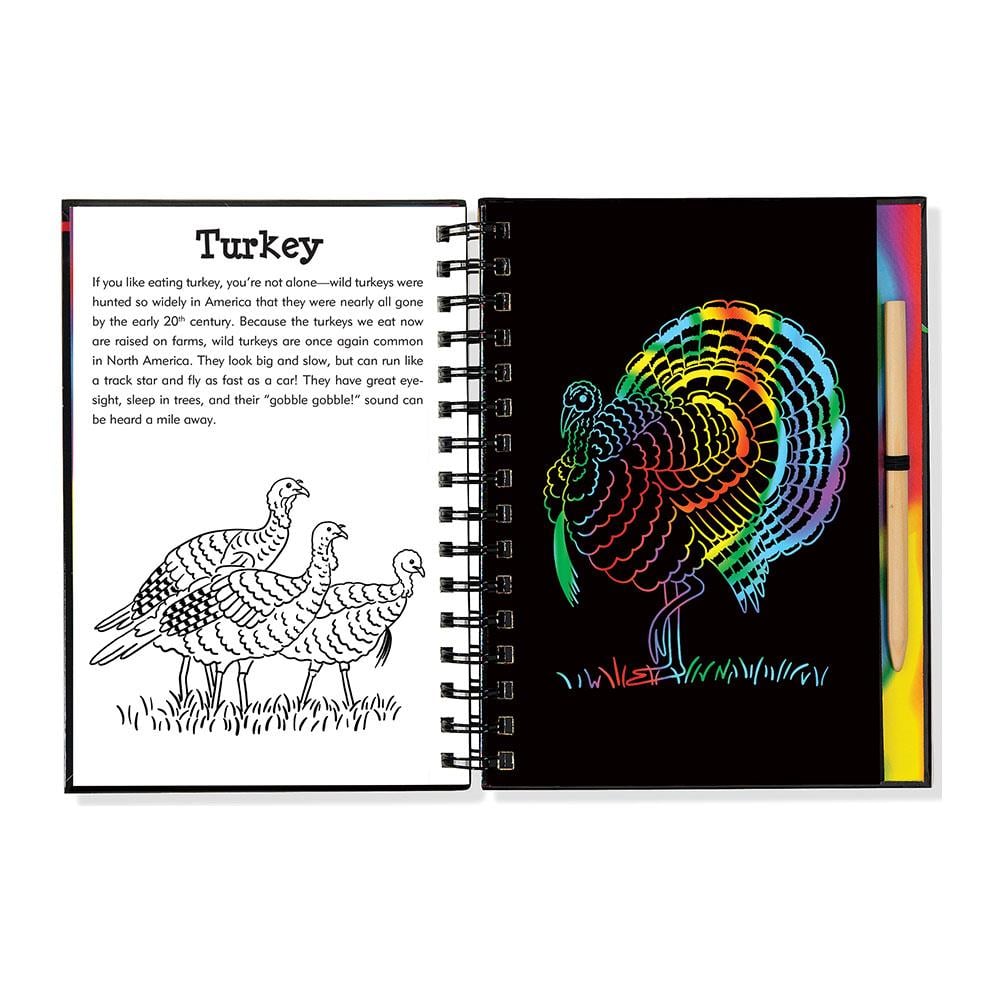 Peter Pauper Press Scratch & Sketch Orman Arkadaşları